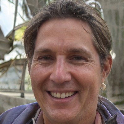 Denis François